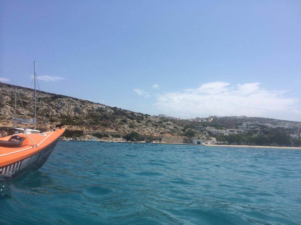 1238913 690067207707149 3732420844383486757 n