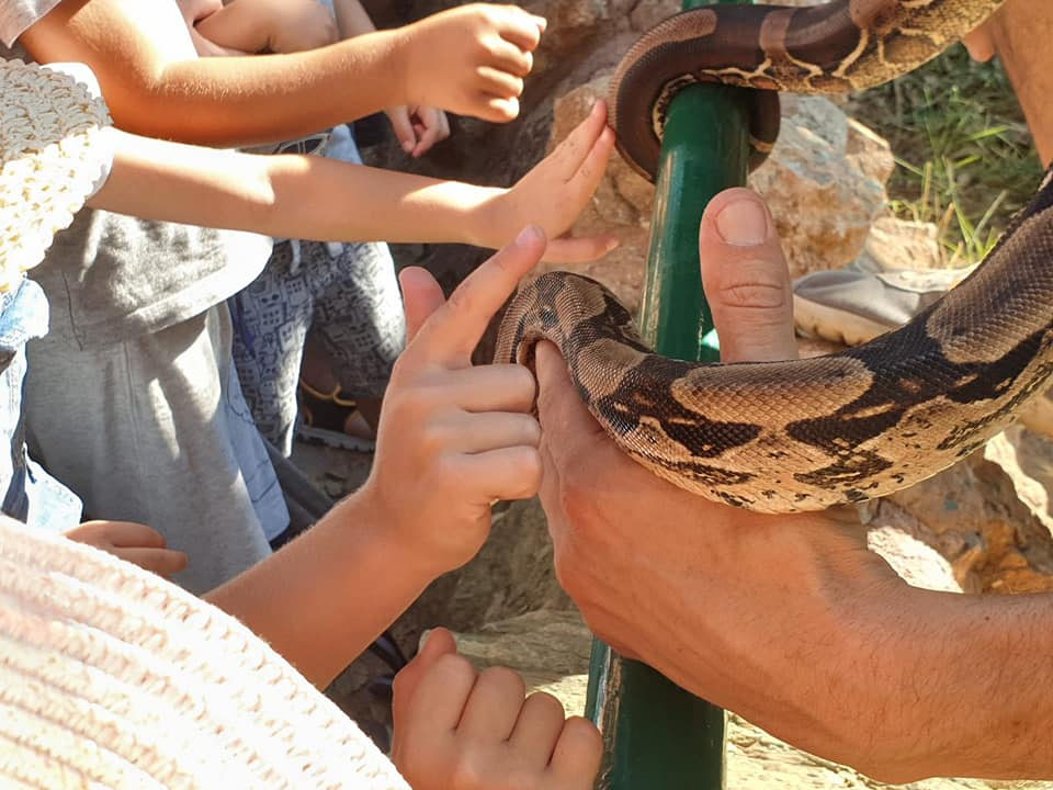 attiko parko1 21 07 2019
